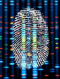 DNA profiling