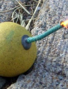 Fuse (explosives)