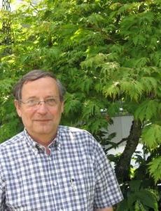 Stephen Lichtenbaum