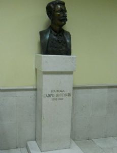 Gavro Vuković