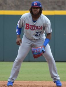 Vladimir Guerrero Jr.