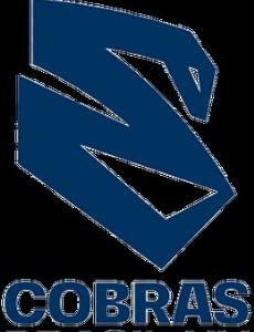 Cobras Brasil XV