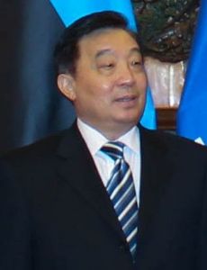 Wang Chen (politician)