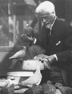 Charles Otis Whitman