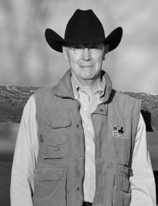 Chris Morris (author)