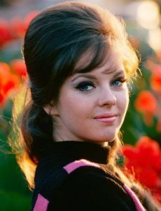 Sharon Rogers