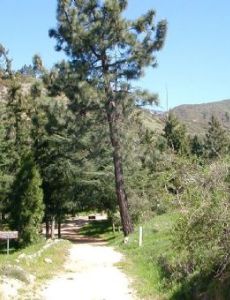 Henninger Flats