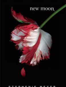 New Moon