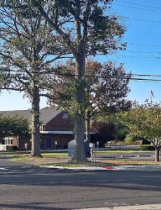 Elmer School District