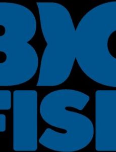 Big Fish Games