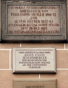 Julius Eugen Schlossberger