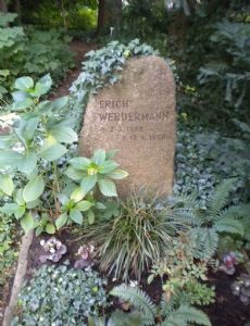 Erich Werdermann