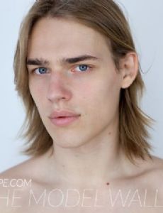 Ton Heukels