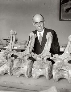 Charles W. Gilmore