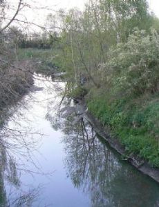 Jasień (river)