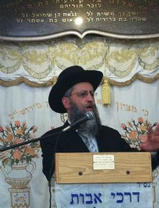 David Yosef