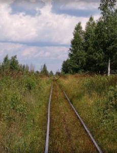 Gusevskoye peat railway