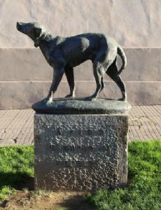 Fido (dog)