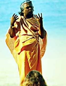 Swami Vishnu-devananda