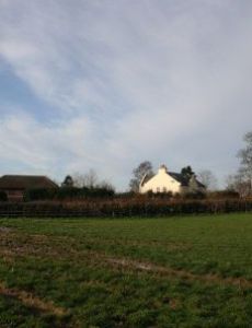 Henwood