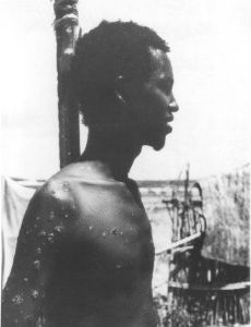 Ali Maow Maalin