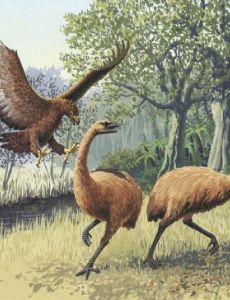 Island gigantism