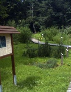 Educational trail