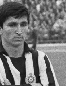 Mustafa Hasanagić