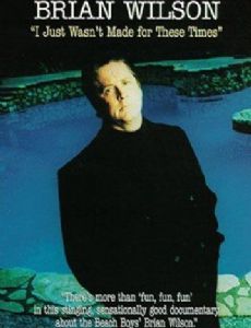 Brian Wilson: I Just Wasn't Made for These Times