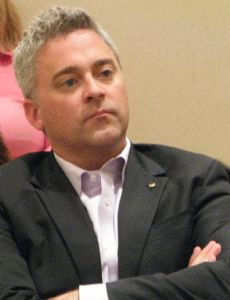 Michael Harris (politician)
