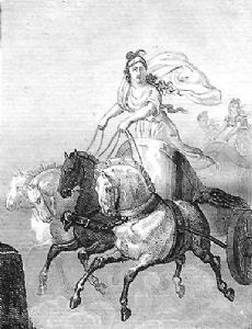 Cynisca