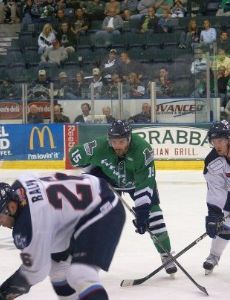 Mathieu Roy (ice hockey)