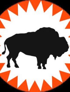 Houston Buffaloes