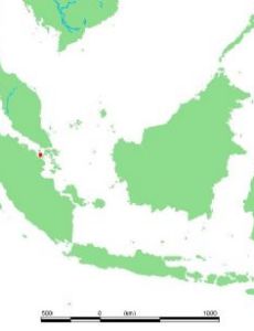 Kundur Island