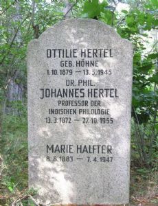Johannes Hertel