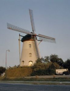 Landerd