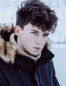 Petit Biscuit