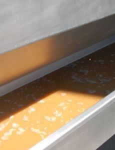 Pressing (wine)