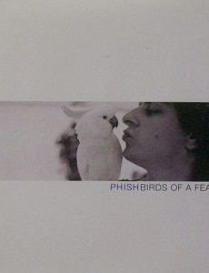 Birds Of A Feather
