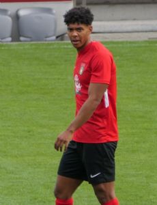 Niklas Sommer