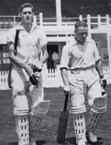 Henry Foley (cricketer)