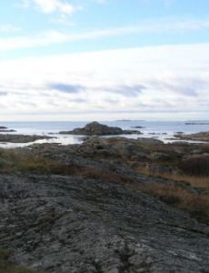 Vargö