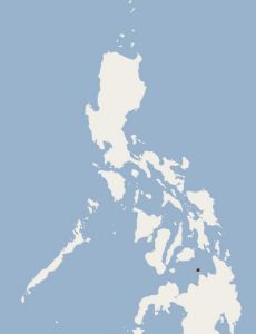 Camiguin forest rat