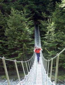 Hiking