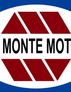 Del Monte Motors