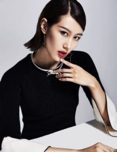Qiu Qiang