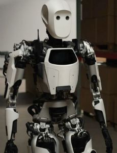 Humanoid robot