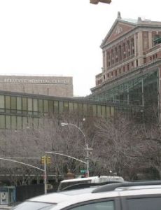Bellevue Hospital