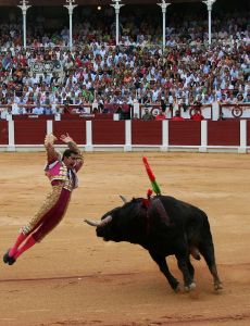 El Fandi