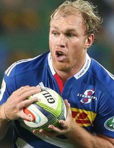 Schalk Burger